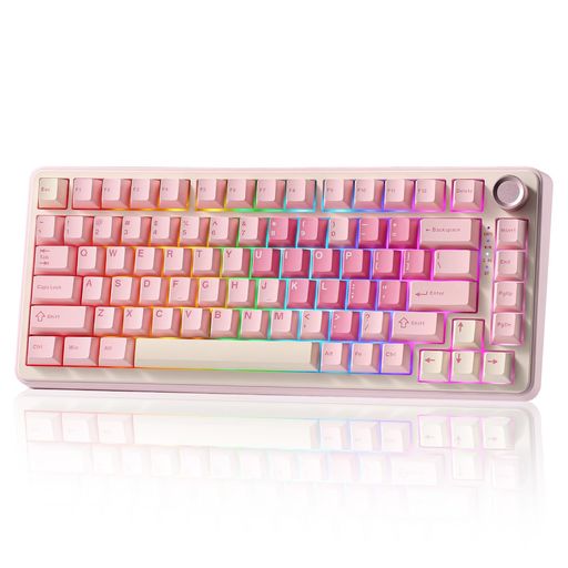 YUNZII B75 PRO 75% ガスケットゲーミングキーボード 無線メカニカルキーボード BT/2.4G/有線 ワイヤレス ホットスワップ 搭載 RGB ノブ付きカスタムキーボード Mac/Win用 技適認証取得 (ピンク