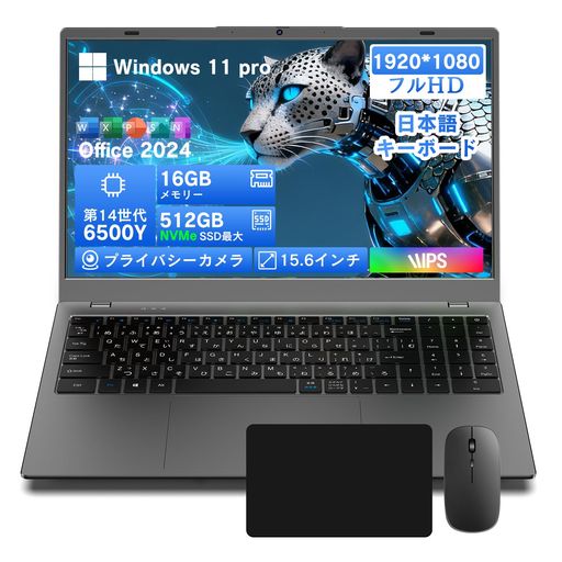 Dobios ノートパソコン 15.6インチ Office2024搭載 Win11 Pro 第14世代 6500Y 8GBメモリ| 256GB SSD| 1.6kg 薄型軽量| FHD 1920x1080| 日本語キーボード テンキー付き 学生向け