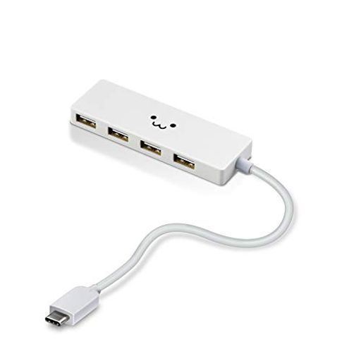 GR USBnu USB2.0 TYPE-C AX4|[g oXp[ 15CMP[u MACBOOK/IPAD/SURFACE GO PRO 7 / CHROMEBOOK Ή zCgtFCX U2HC-A429BXWF