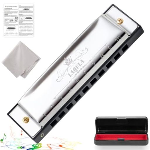 ハーモニカダイアトニック10ホールC調初心者上級者高気密性ブルースハープケース、ポリッシングクロス、教則付(ぎんいろ)