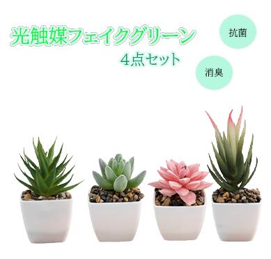 楽天市場】フェイク 多肉植物 セットの通販