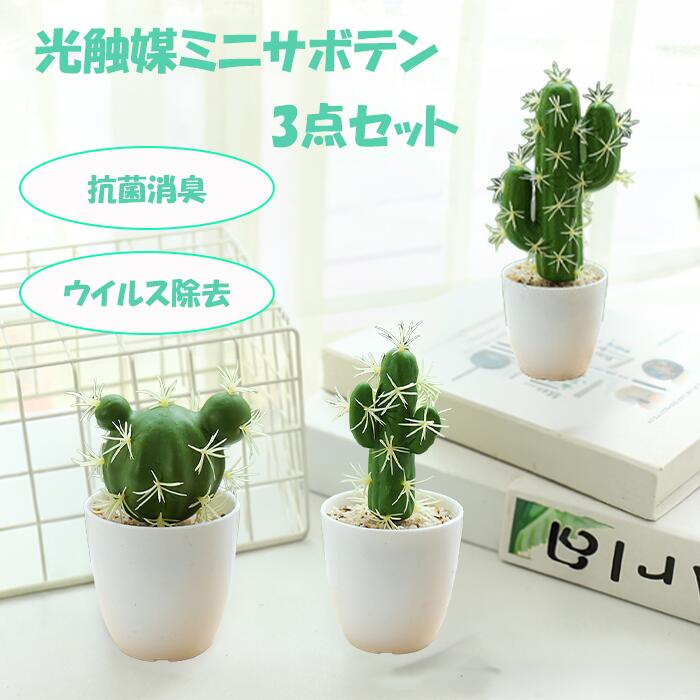 楽天市場】フェイク サボテン セットの通販