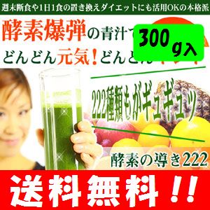 【送料無料】濃縮酵素青汁 酵素の導き222 大容量 300g 青汁なのにジュースのように甘くて美味しい♪ 青汁 お試し おためし 大麦若葉 青汁のめぐり 美味しい おいしい 甘い あまい 青汁 ケール 青汁 子供も大好き