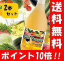 送料無料/酵素/酵素液/酵素ドリンク/酵素飲料/酵素 ジュース/酵素液 ダイエット/コスミックエンザイム/コスミックエンザイム 酵素/コスミック エンザイム 楽天/楽天コスミックエンザイムからの置き換えに♪ 【送料無料】 ニューフルベジデト酵素液2本セット！（送料無料+878円おトク！）　送料無料/酵素/酵素液/酵素ドリンク/酵素飲料/酵素 ジュース/酵素 ダイエット/酵素液 ダイエット/酵素ダイエット ドリンク/ダイエット/スリム/楽天