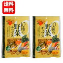 【送料無料】野菜のまんま 110g×2袋セット！！ 10種類の野菜をそのままに！食物繊維たっぷり　野菜チップス 訳あり …