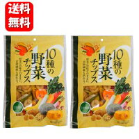 野菜のまんま 110g×2袋セット！！ 10種類の野菜をそのままに！食物繊維たっぷり　野菜チップス 訳あり 野菜チップス 野菜チップ かぼちゃチップス 野菜 チップス 通販 国内製造 野菜チップス タマネギ 玉ねぎ おすすめ 訳アリ　ワケあり