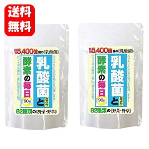 【送料無料】 乳酸菌と酵素の毎日 90粒入×2袋セット！ 5400億個の乳酸菌と82種類の酵素♪ 乳酸菌 サプリ 乳酸菌 サプリメント 乳酸菌革命 乳酸菌 タブレット 乳酸菌のちから 酵素