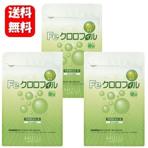 【送料無料】 1カプセルにクロロフィル150mg配合！！　 Feクロロフィル 30日分×3袋セット！！　3年連続モンドセレクション金賞受賞♪ 加齢臭 ワキガ 足の臭い 汗臭 サプリ サプリメント 臭い 臭活 臭活サプリ エチケット ケア