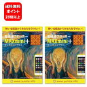 【送料無料】NEW 電磁波ブロッカー　MAX mini +(プラス) ×2枚セット！！【ポイント20倍】電磁波ブロッカーシリーズの5G電波に対応した新商品♪ 電磁波防止 電磁波対策 電磁波 電磁波防止グッズ 電磁波防止シート スマホ 丸山式 電磁波防止 電磁波対策 電磁波カット 5G