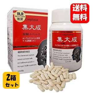 集大成 120粒入り×2箱セット！ 独自製法で作られた赤ミミズ粉末を使用した健康サプリメント♪集大成 しゅうたいせい サプリメント サプリ 赤みみず ルンブルクスルベルス ルンブルクスルベルス粉末 国産 美原エルアール 研究所 美原先生