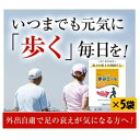  歩みエール 248粒×5袋セット！ 外出自粛で足の衰えが気になる方へ！筋力低下を抑制するサプリメント♪ 筋力低下 膝の不調 筋力維持 疲れ 骨の衰え 加齢 不調 改善 膝の痛み ひざの痛み 老化 歩行 歩く 高齢化 足の疲れ 疲労 関節痛 転倒