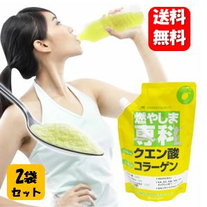 【送料無料】燃やしま専科 500g×2袋セット 【メーカー正規品】毎日の健康をサポートするスポーツ飲料♪ サポート 健康食品 エナジークエスト サプリメント サプリ クエン酸 コラーゲンペプチド グルコサミン 食物繊維 スポーツジム 栄養補給 エネルギー 栄養補助 ドリンク 1