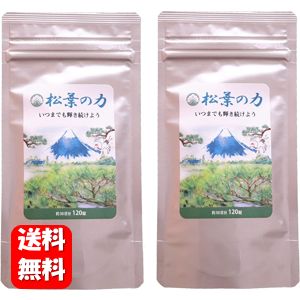 【送料無料】松葉の力 120粒入 （1か月分）×2袋セット！ 松葉のチカラでいつまでも健康な毎日を♪ サプリ サプリメン…