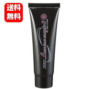 【送料無料】ルミナマジックS2 75g【メーカー正規品】光にあたるだけで白髪が染まるヘアクリーム！手軽で便利なヘアカラー♪ 白髪染め 毛染め 白髪かくし 白髪隠し ヘアカラークリーム ヘアカラー 髪 染色 ヘア ヘナ レディース メンズ 女性用 sii