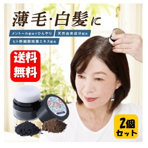 【送料無料】クイックヤング　落ちにくいヘアパウダー×2個セット 落ちにくい＋ひんやり機能をプラス♪ポンポンするだけで簡単に薄毛・白髪をカバー！ 白髪染め 薄毛対策 自然 毛染め 市販 白髪染め 薄毛 カバー パウダー 薄毛隠し 女性 ファンデ 男性