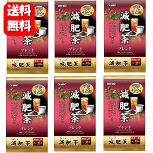 【送料無料】減肥茶 お徳用48包入×6