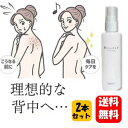 【送料無料】魅せたいせなか アクネケアミスト 100ml×2本セット【医薬部外品】理想的な背中にオススメのニキビケアミスト♪ ボディケア 背中ニキビ スプレー ニキビ予防 にきび アクネケア ニキビケア 跡 美容液 化粧水 ブツブツ ぶつぶつ 肌荒れ シミ くすみ 予防 対策