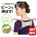 【送料無料】ピーンと背筋ベルト キレイな姿勢作りにオススメ♪ 背筋ベルト 男性 男性用 子供用 背筋 器具 ベルト ベルト グッズ 1000円 ぽっきり ポッキ...