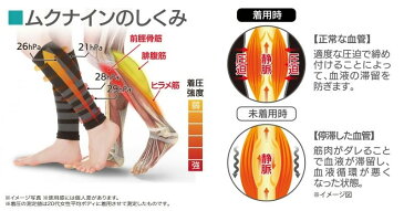 【送料無料】脚すっきりムクナイン 2枚入(左右兼用)ベージュ×2枚セット!【一般医療機器】医学に基づいた着圧サポーター 着圧 血行促進 むくみ軽減 むくみ解消 ソックス 血行循環促進 遠赤外線 男女兼用 日本製 足 むくみ サポーター グッズ 医療用 ソックス 冷え性