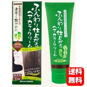 NEW ふんわり仕上がる ヘアカラークリーム 200g 使うごとに徐々に自然な髪色に仕上げる人気の白髪染めカラートリートメント♪ ヘアカラー ふんわり仕上がる 白髪染め 白髪隠し 毛染め 利尻昆布 毛染め シャンプー 毛染め ヘナ 利尻ヘアカラートリートメント