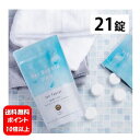【送料無料】NEW Hot Bubble PRO ホットバブルプロ21錠入り【医薬部外品】【ポイント10倍以上】大人気の入浴剤リニューアル商品♪ 薬用重炭酸入浴剤 薬用 入浴剤 疲労回復 冷え症 敏感肌 肌荒れ アトピー 背中ニキビ