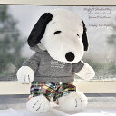 スヌーピーコスチューム ★グレーパーカー&マドラスチェックパンツ・pk1-snoopy÷Θ