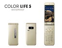 【LINEお友達登録で300円OFFクーポン】☆ パナソニック Panasonic COLOR LI ...