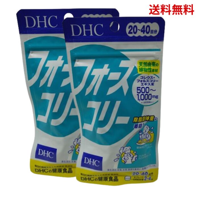 【LINEお友達登録で300円OFFクーポン】☆【2袋セット】 DHC フォースコリー 20日分 8 ...