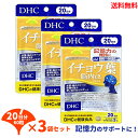 【LINEお友達登録で300円OFFクーポン】☆ セット商品 DHC イチョウ葉脳内α 20日分 60粒 3袋セット 脳 血流 改善 記憶力 維持 アルファ イチョウ葉 フラボノイド 思い出す力 記憶力 送料無料 更に割引クーポン