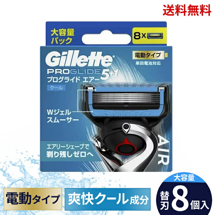  Gillette Wbg vOCh GA[ d^Cv J~\ ֐n 8   XɊN[|