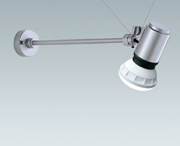 ERS4980S ENDO照明 遠藤照明  LEDZLAMP／アウトドアスポット（看板灯）／ランプ別売