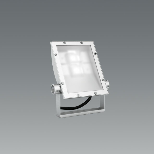 ERS5220WB 看板灯 4000タイプ 5000K Ra83 ENDO照明 業務用 工事必要