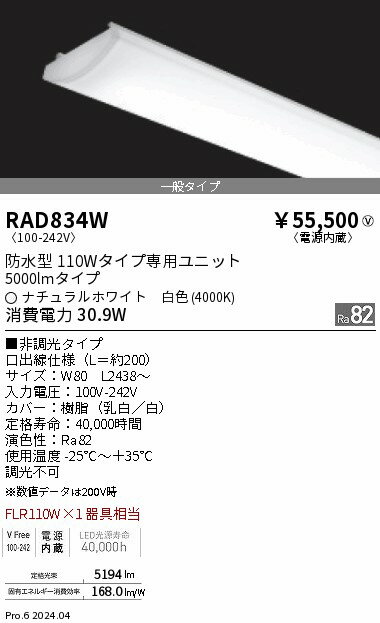 RAD834W 軒下SOLID 110W x 1灯 5000lm 4000K ENDO照明 【メーカー直送】