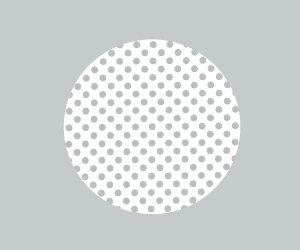 RB670B 拡散フィルター Rs600タイプ用 ENDO照明 【メーカー直送】