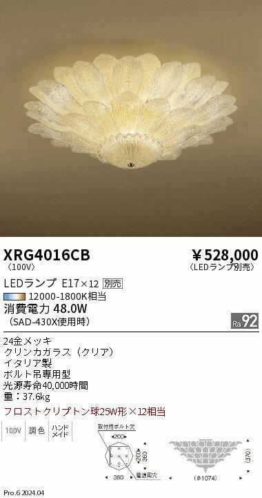 XRG4016CB Abita ������� ENDO���� �ڥ᡼����ľ����