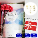 【早割り 母の日】 エントリーでポイント10倍 バスソルト ギフト 花 プレゼント 入浴剤 45回分 600g 1個 とカーネーション 3本 ラッピング つき ...