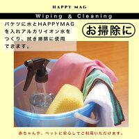 高純度99.9%以上純マグネシウム粒洗濯600g直径約5mm【50g増量+メンテナンス用クエン酸10回分付き】風呂掃除水素浴除菌洗浄消臭DIY水素水