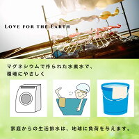 高純度99.9%以上純マグネシウム粒洗濯600g直径約5mm【50g増量+メンテナンス用クエン酸10回分付き】風呂掃除水素浴除菌洗浄消臭DIY水素水