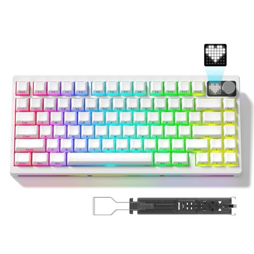 Womier MT75 ゲーミングキーボード 無線 75%レイアウト テンキーレス ホットスワップ対応 ガスケット搭載 Bluetooth 5.0/2.4G/有線接続 8000mAh RGBバックライト US配列 メカニカルキーボード ワイヤレス