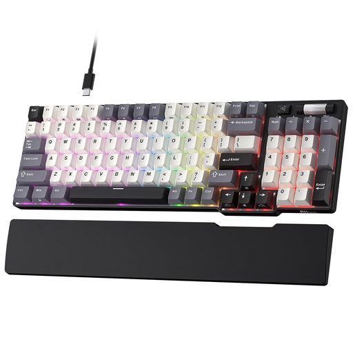 RK ROYAL KLUDGE C96 HE メカニカルゲーミングキーボード、ホール効果磁気スイッチ、ホットスワップ対応 90% 有線 RGB キーボード(リストレスト付き)、ラピッドトリガー調整可能アクチュエーシ…