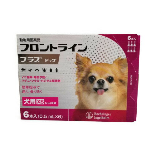 ◎◎【メール便・送料無料】犬用　フロントラインプラス　XS（5kg未満）6本入　期限2026年1月　なくなり次第終売