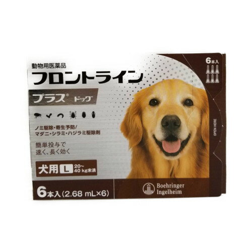 C【メール便・送料無料】　犬用　フロントラインプラス　L（20〜40kg未満）　6本入　※期限2026.1　なくなり次第終売