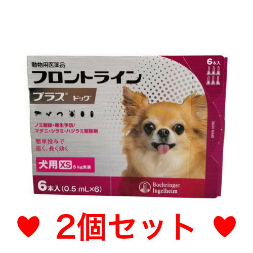 ◎◎【メール便・送料無料】犬用　フロントラインプラス　XS（5kg未満）　6本入　[2個セット]　期限2026年1月　なくなり次第終売