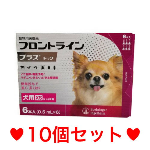 ◎【宅急便・送料無料】犬用 フロントラインプラス...の商品画像