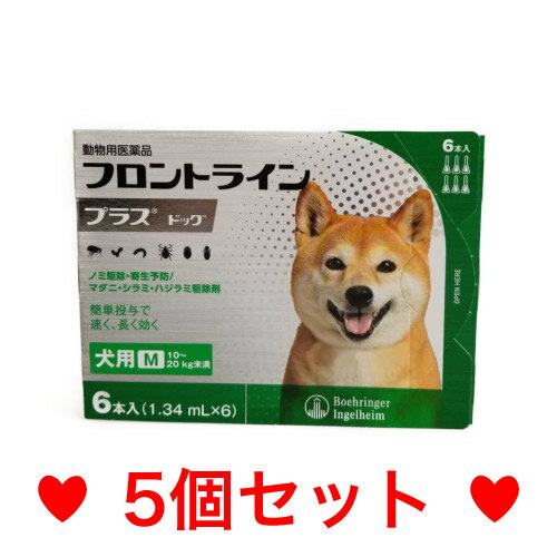 R【メール便・送料無料】犬用　フロントラインプラス　M（10〜20kg未満）6本入　[5個セット]　※期限2025.4　なくなり次第終売