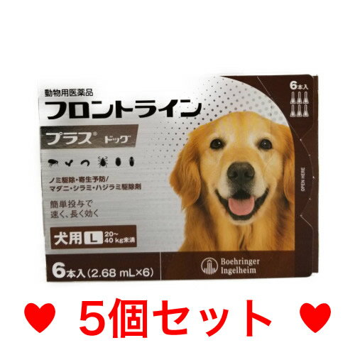 ◎【メール便・送料無料】　犬用　フロントラインプラス　L（20〜40kg未満）6本入　[5個セット]　※期限2026.1　なくなり次第終売