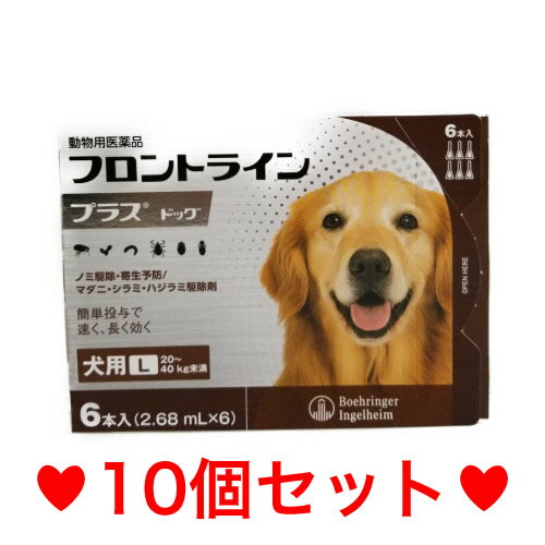 楽天ハッピーMD◎【宅急便・送料無料】　犬用　フロントラインプラス　L（20〜40kg未満）　6本入　[10個セット]　※期限2026.1　なくなり次第終売