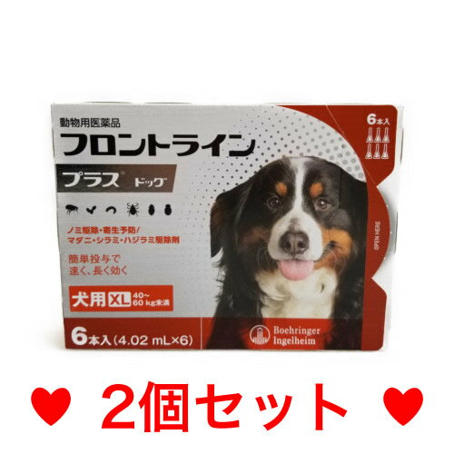 C【メール便・送料無料】犬用　フロントラインプラス　XL（40〜60kg未満）6本入　[2個セット]