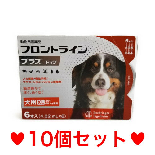 楽天ハッピーMD◎【宅急便・送料無料】犬用　フロントラインプラス　XL（40〜60kg未満）6本入　[10個セット]　※期限2025.4　なくなり次第終売