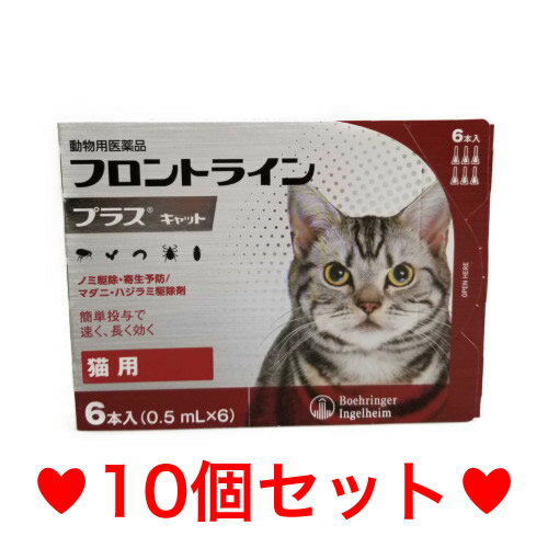 楽天ハッピーMD◎【宅急便・送料無料】猫用　フロントラインプラス　6本入　[10個セット]　※期限2025.10　なくなり次第終売